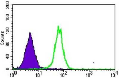 Flow Cytometry: MRPL42 Antibody (3H6G11) - BSA Free [NBP2-37393]