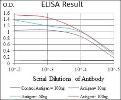 ELISA: MRPL42 Antibody (3H6H2) - BSA Free [NBP2-37385]