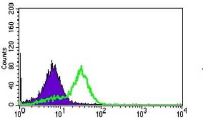 Flow Cytometry: MRPL42 Antibody (3H6H2) - BSA Free [NBP2-37385]