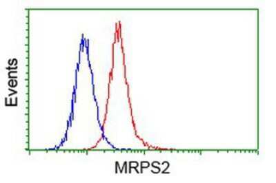 Flow Cytometry: MRPS2 Antibody (OTI4D6) [NBP2-03292]