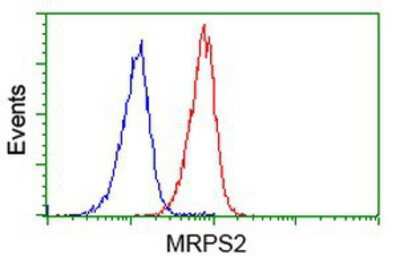 Flow Cytometry: MRPS2 Antibody (OTI4D6) [NBP2-03292]