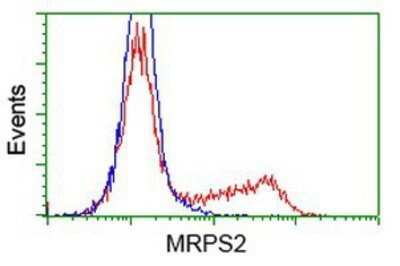 Flow Cytometry: MRPS2 Antibody (OTI4D6) - Azide and BSA Free [NBP2-72783]