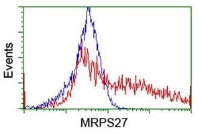 Flow Cytometry: MRPS27 Antibody (OTI6E5) - Azide and BSA Free [NBP2-72787]