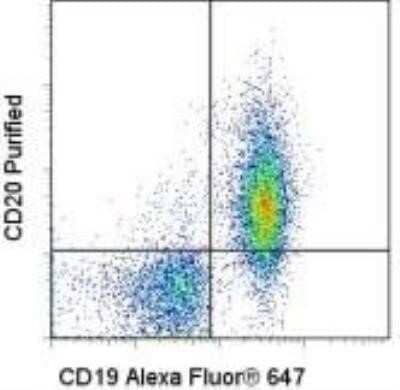 Flow Cytometry: CD20 Antibody (AISB12) - BSA Free [NBP1-43435]
