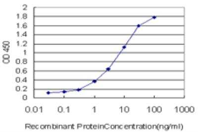 ELISA: MSH5 Antibody (1C11) [H00004439-M08]