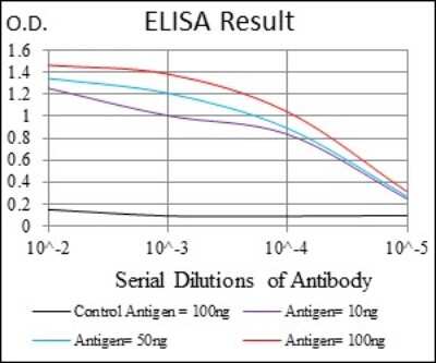 ELISA: MSH6 Antibody (3E1) - BSA Free [NBP2-37537]