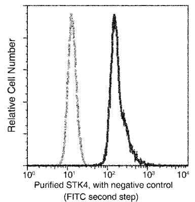 Flow Cytometry: MST1/STK4 Antibody (01) [NBP3-06376]