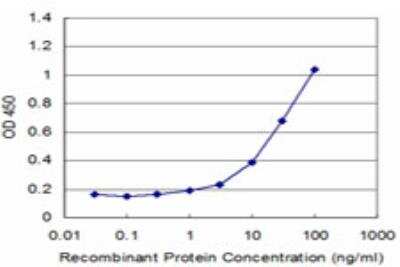 ELISA: MST3 Antibody (4G5) [H00008428-M03]