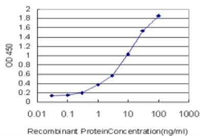 ELISA: MST4 Antibody (3G5) [H00051765-M03]