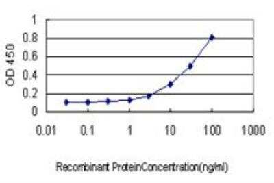 ELISA: MTAP Antibody (2G4) [H00004507-M01]
