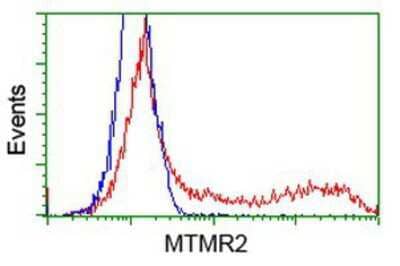 Flow Cytometry: MTMR2 Antibody (OTI2D2) [NBP2-03384]