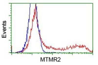 Flow Cytometry: MTMR2 Antibody (OTI2D2) - Azide and BSA Free [NBP2-72809]