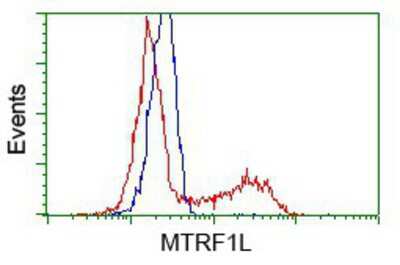 Flow Cytometry: MTRF1L Antibody (OTI1D11) [NBP2-02384]