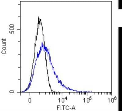 Flow Cytometry: MUC1 Antibody (SM3) - Chimeric - Azide and BSA Free [NBP2-62561]