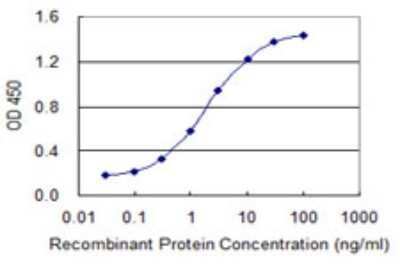 ELISA: MYCBP Antibody (2E9) [H00026292-M02]