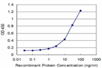 ELISA: MYL6 Antibody (1D6) [H00004637-M03]