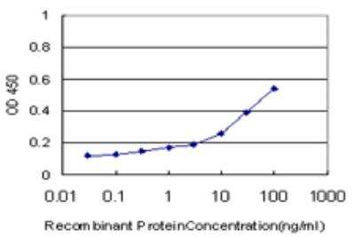 ELISA: MYL6 Antibody (1G3) [H00004637-M10]