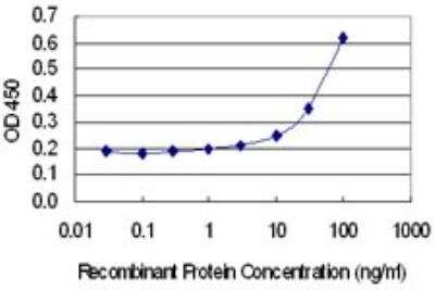 ELISA: MYO15A Antibody (7F2) [H00051168-M01]