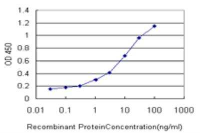 ELISA: MYO3A Antibody (5A12) [H00053904-M03]