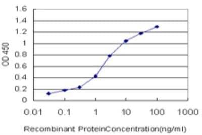 ELISA: MYPN Antibody (4C8) [H00084665-M04]