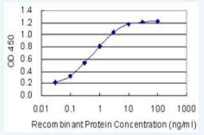 ELISA: MafF Antibody (1F8) [H00023764-M02-100ug]
