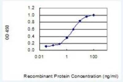 ELISA: Mammaglobin B Antibody (2E2) [H00004246-M07]