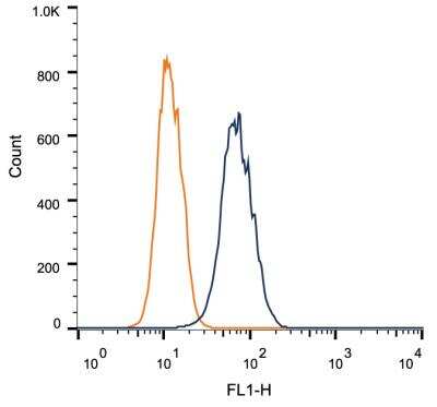 Flow Cytometry: IGF-II R/IGF2R Antibody (2G11) - BSA Free [NB300-514]