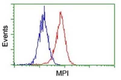 Flow Cytometry: Mannose Phosphate Isomerase Antibody (OTI4G7) - Azide and BSA Free [NBP2-72584]