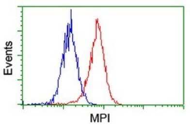 Flow Cytometry: Mannose Phosphate Isomerase Antibody (OTI4G7) [NBP2-45834]