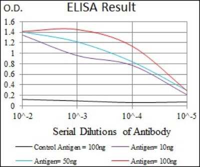 ELISA: Mark3 Antibody (2G12) - BSA Free [NBP2-37445]
