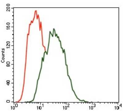 Flow Cytometry: Mark3 Antibody (2G12) - BSA Free [NBP2-37445]