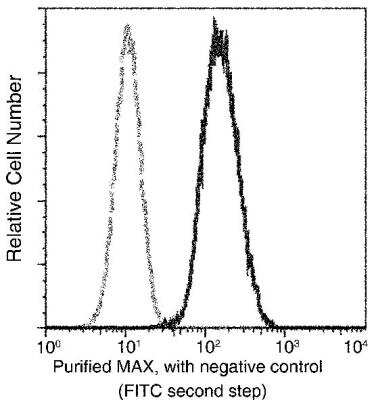Flow Cytometry: Max Antibody (103) [NBP2-90153]