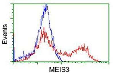 Flow Cytometry: Meis homeobox 3 Antibody (OTI3E12) [NBP2-03933]