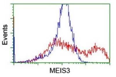 Flow Cytometry: Meis homeobox 3 Antibody (OTI3A7) - Azide and BSA Free [NBP2-72641]