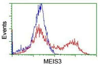 Flow Cytometry: Meis homeobox 3 Antibody (OTI3E12) - Azide and BSA Free [NBP2-72642]