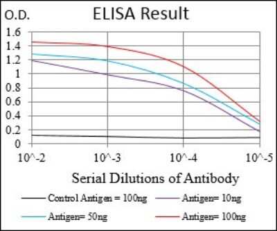 ELISA: Menin Antibody (7D3E10) - BSA Free [NBP2-37251]