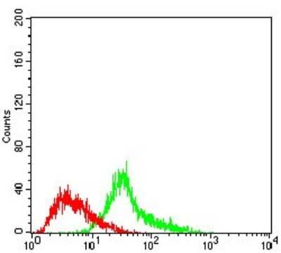 Flow Cytometry: Menin Antibody (7D3E10) - BSA Free [NBP2-37251]
