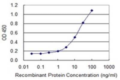 ELISA: Metallothionein-2A Antibody (6G2) [H00004502-M01]