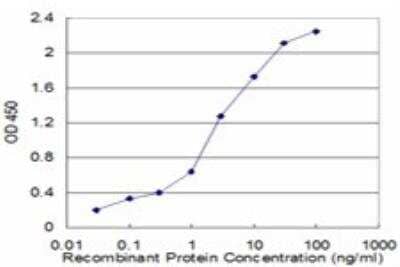ELISA: Methionine Sulfoxide Reductase B Antibody (8B2) [H00051734-M02]