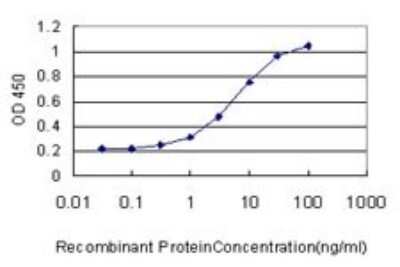 ELISA: MgcRacGAP/RACGAP1 Antibody (1G6) [H00029127-M01]