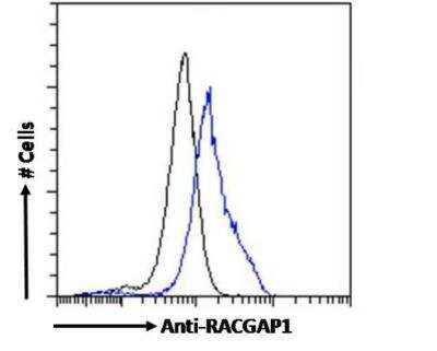 Flow Cytometry: MgcRacGAP/RACGAP1 Antibody [NB100-884]