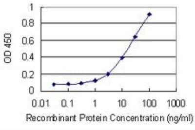 ELISA: Mitofusin 1 Antibody (3C9) [H00055669-M04]