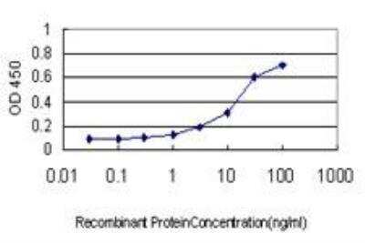 ELISA: Mitofusin 2 Antibody (4H8) [H00009927-M03]