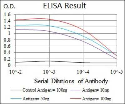 ELISA: Moesin Antibody (2C12) - BSA Free [NBP2-37509]