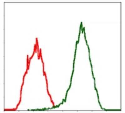 Flow Cytometry: Moesin Antibody (2C12) - BSA Free [NBP2-37509]