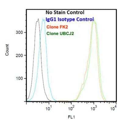 Flow Cytometry: Mono- and polyubiquitinylated conjugates Antibody (UBCJ2) [NBP3-06879]