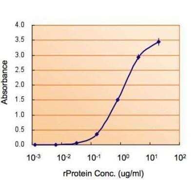 ELISA: Monoamine Oxidase B Antibody [NBP1-32426]
