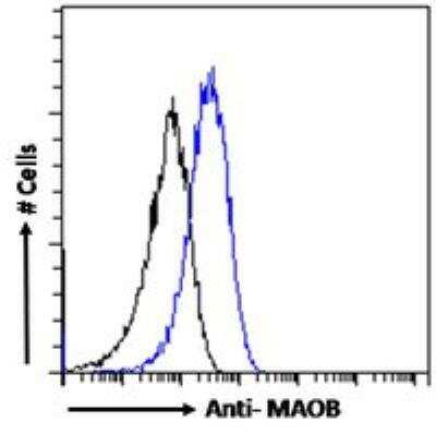 Flow Cytometry: Monoamine Oxidase B Antibody [NB100-2826]