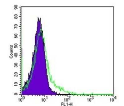 Flow Cytometry: Mouse IgG2b Isotype Control (MPC-11) [NBP2-27231]