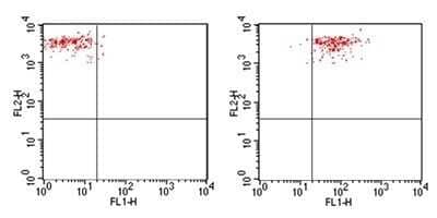 Flow Cytometry: Mouse IgG2b Isotype Control (MPC-11) [NBP2-27231]